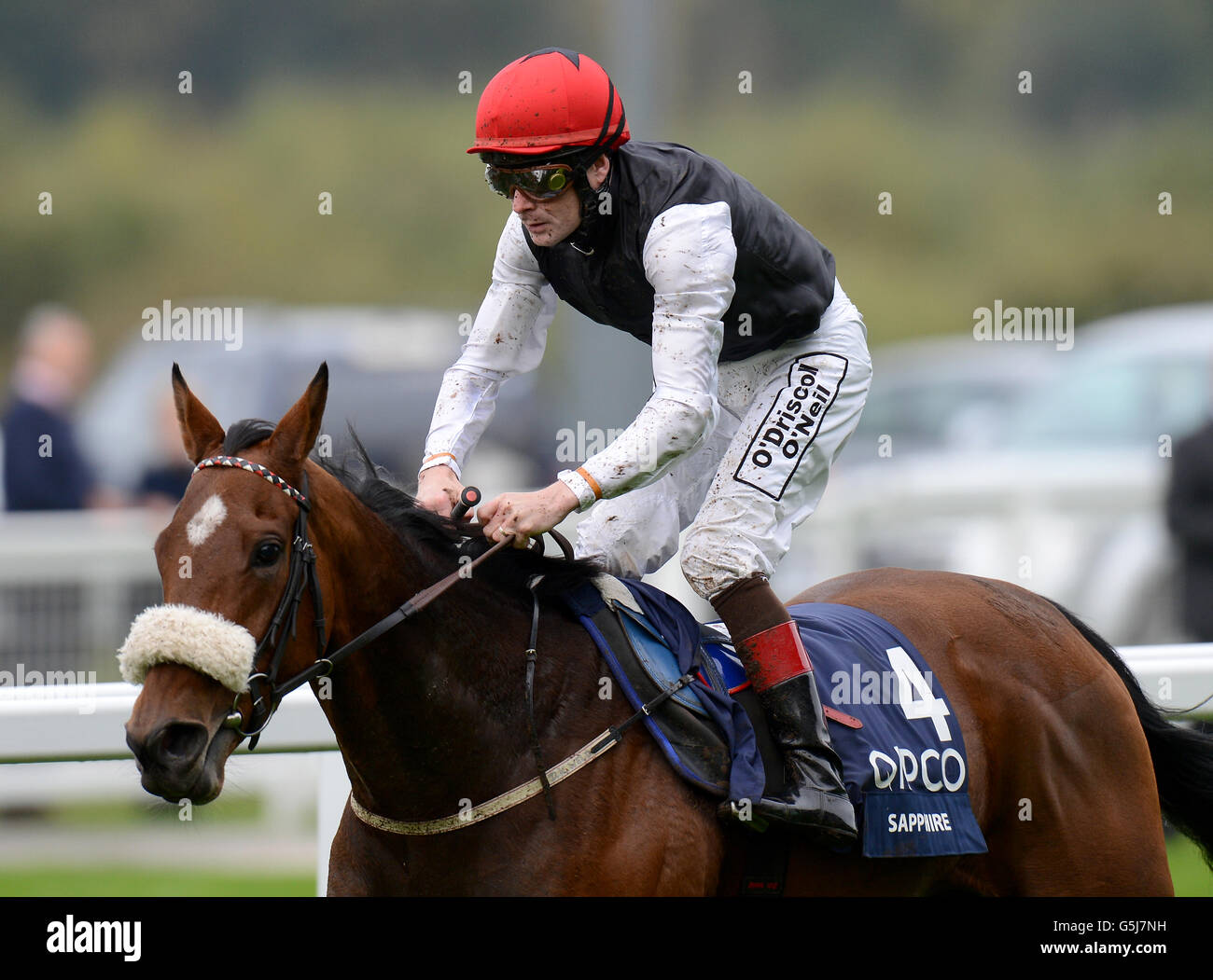 Sapphire ridden by Pat Smullen winners of the Qipco British Champions Fillies' And Mares' Stakes Stock Photo