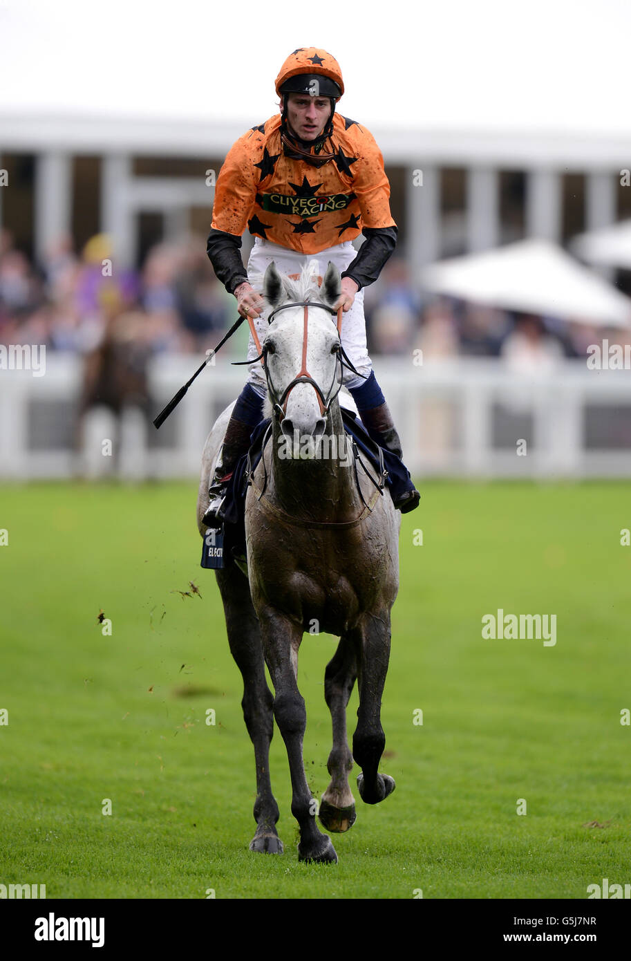 Horse Racing - QIPCO British Champions Day - Ascot Racecourse. Electrolyser ridden by Adam Kirby after the Qipco British Champions Long Distance Cup Stock Photo