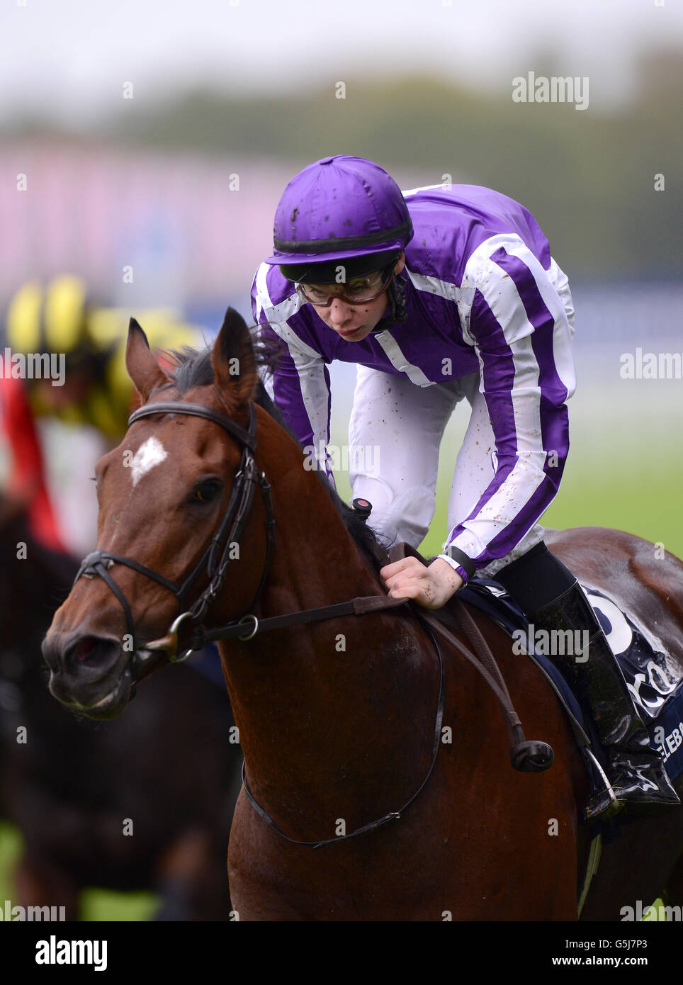 Excelebration ridden by Joseph O'Brien winners of the Queen Elizabeth II Stakes Sponsored By Qipco Stock Photo