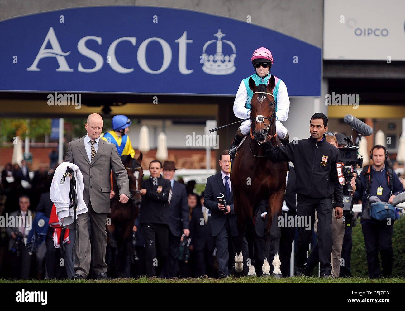 Frankel ridden by Tom Queally rides out to the course ahead of the Qipco Champion Stakes Stock Photo