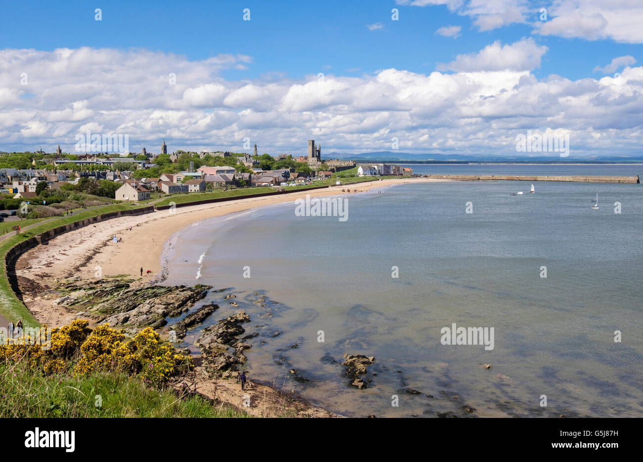 High view down to East Sands beach and town on North Sea coast from Fife Coastal Path in summer. St Andrews Fife Scotland UK Britain Stock Photo