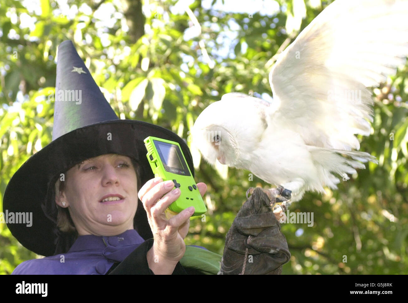 Frosty the Snow Owl, aged 3, helps out at the launch of Harry Potter and the Philosopher's Stone for GameBoy Colour (pictured), GameBoy Advance, PC and Sony Playsation at Chelsea Physic Garden in London. * The gardens were transformed for the day into Professor Sprout's Herbology gardens with pumpkins, mandrake roots and tours of the Forbidden Forest available for the adventurous. PA Photo : Johnny Green. Stock Photo