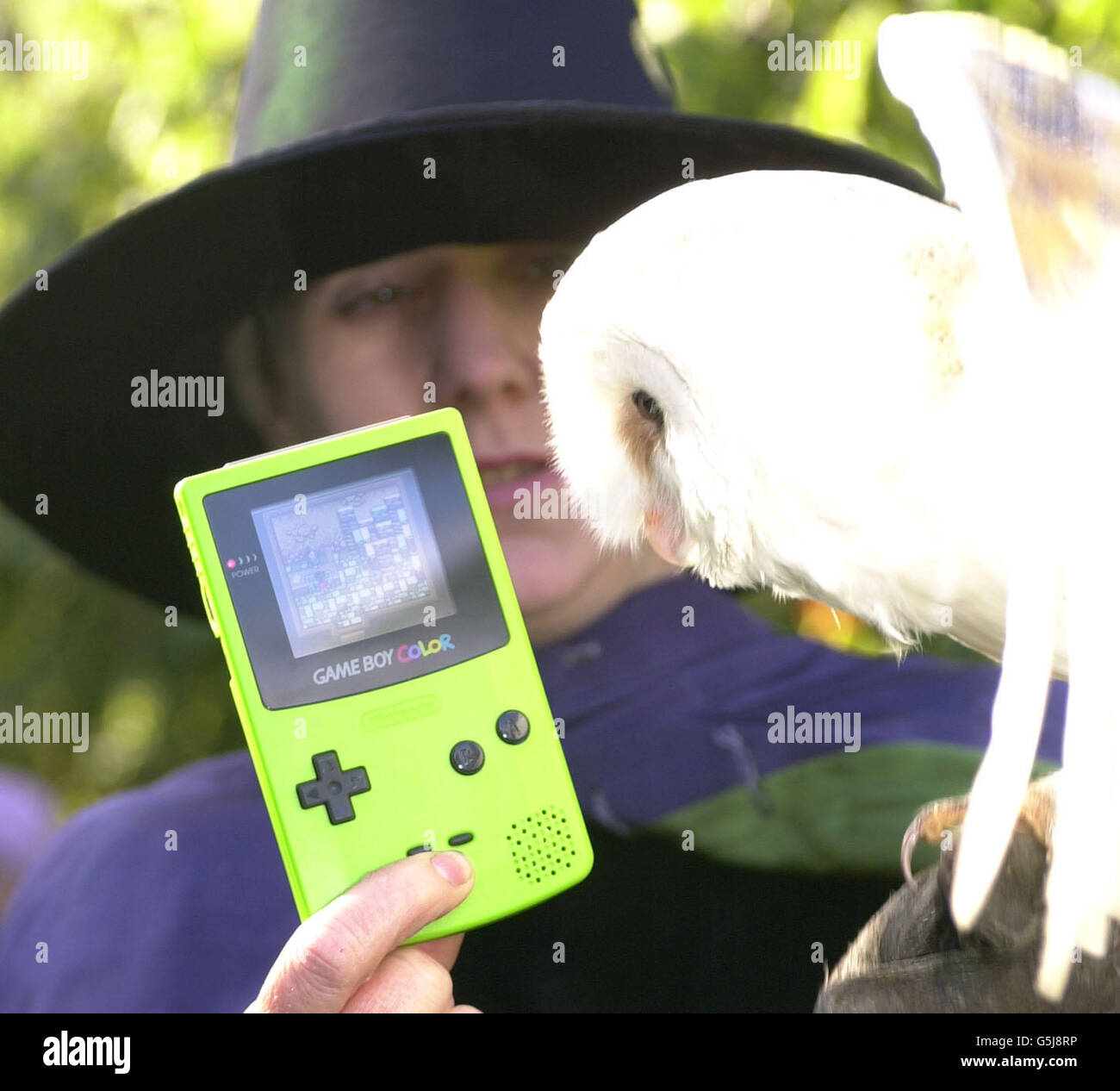Frosty the Snow Owl, aged 3, helps out at the launch of Harry Potter and the Philosopher's Stone for GameBoy Colour (pictured), GameBoy Advance, PC and Sony Playsation at Chelsea Physic Garden in London. * The gardens were transformed for the day into Professor Sprout's Herbology gardens with pumpkins, mandrake roots and tours of the Forbidden Forest available for the adventurous. Stock Photo