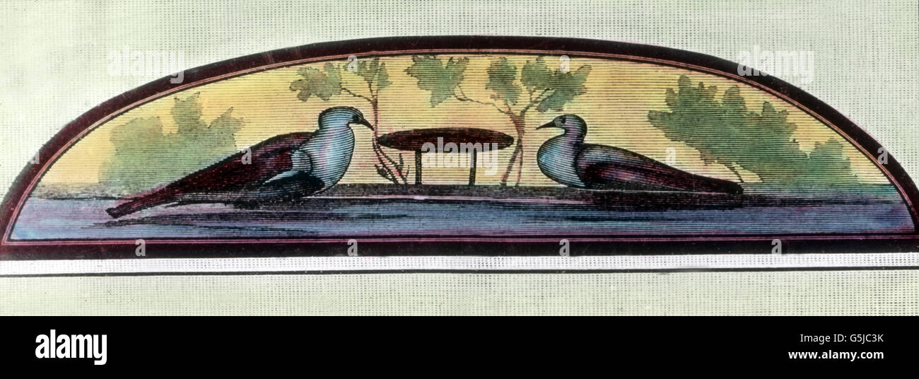 Darstellung der Taube als Sinnbild der Seele. The dove as a symbol for the soul. Stock Photo