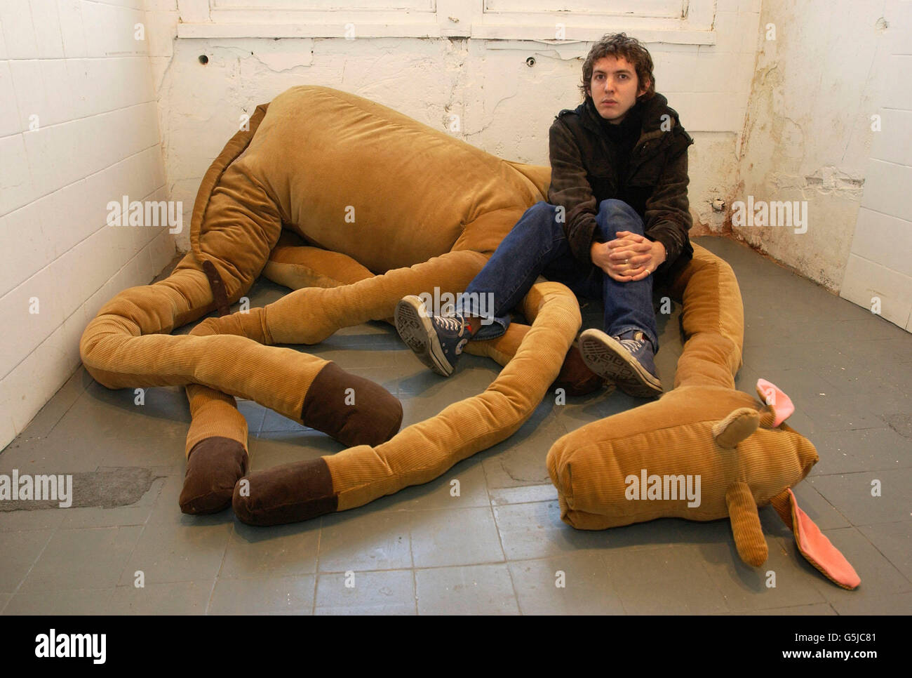 11 foot cat 2025 shaped couch