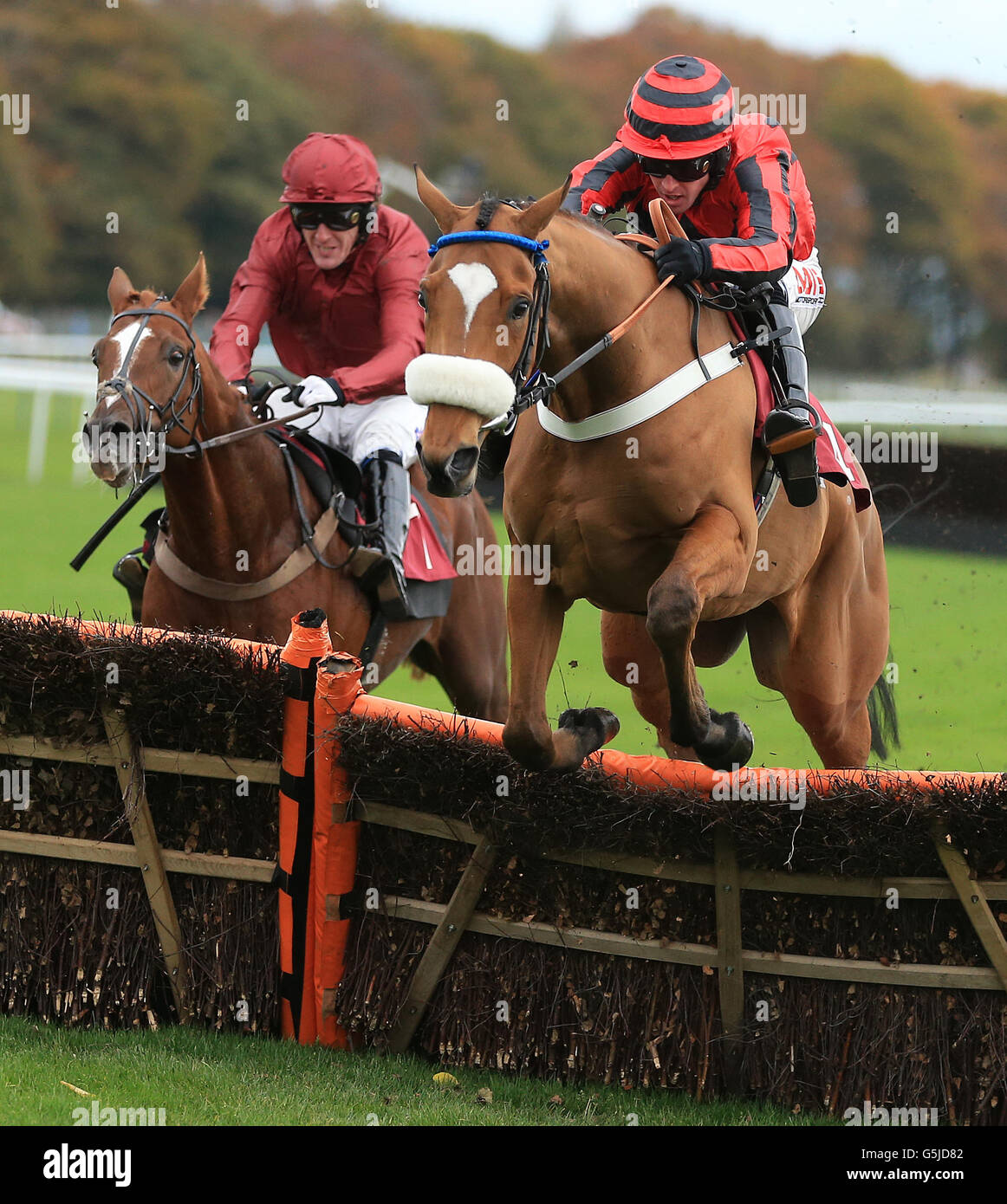 Horse racing haydock races hi-res stock photography and images - Alamy