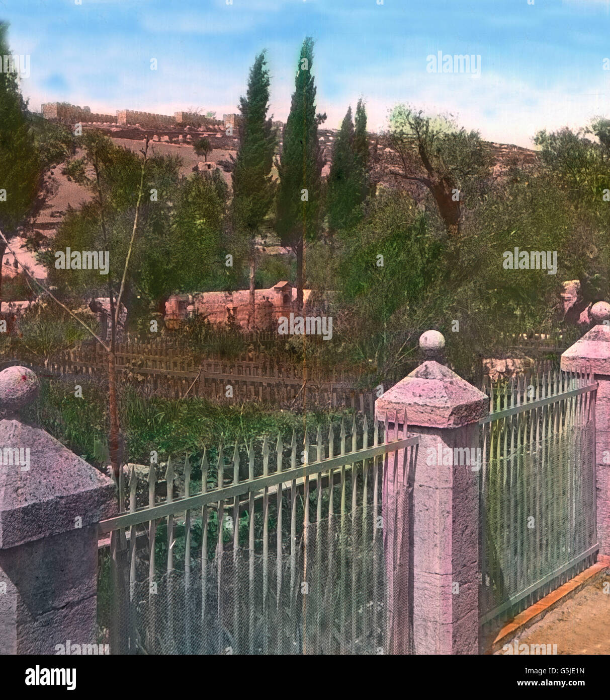 der garten gethsemane wo jesus gefangengenommen wurde 1920er jahre gethsemane garden where christ was arrested 1920s stock photo alamy