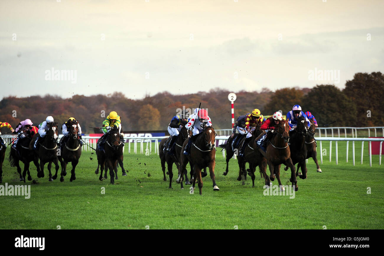 Desert Creek ridden by Shirley Teasedale (red spots on cap) move through to win the Betfred Bigger and Better Goals Galore Apprentice Handicap during the BETFRED November Handicap Flat Meeting at Doncaster Racecourse, Doncaster. Stock Photo
