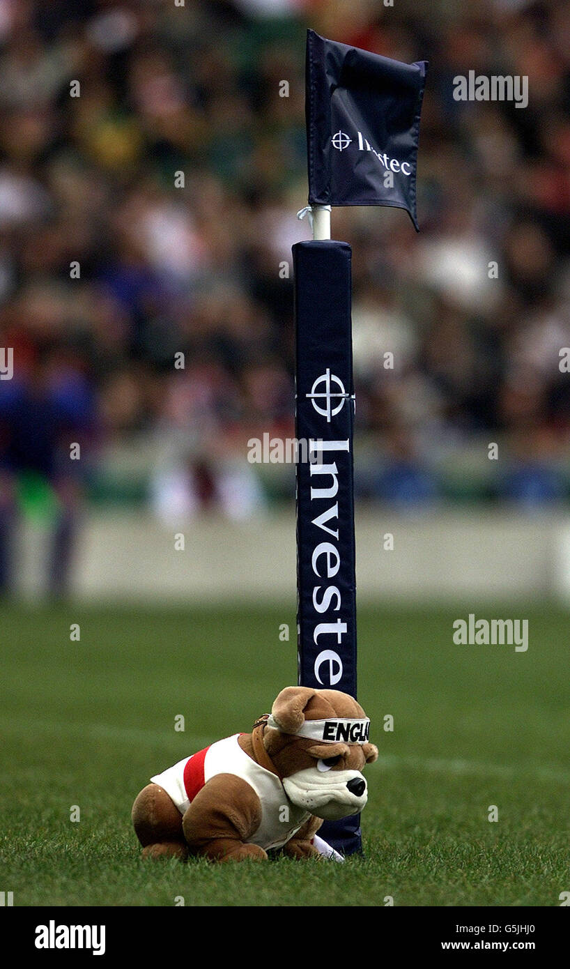 Rugby union englands mascot hires stock photography and images Alamy