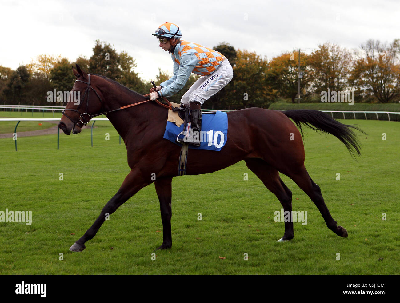 Horse Racing - Nottingham Races Stock Photo - Alamy
