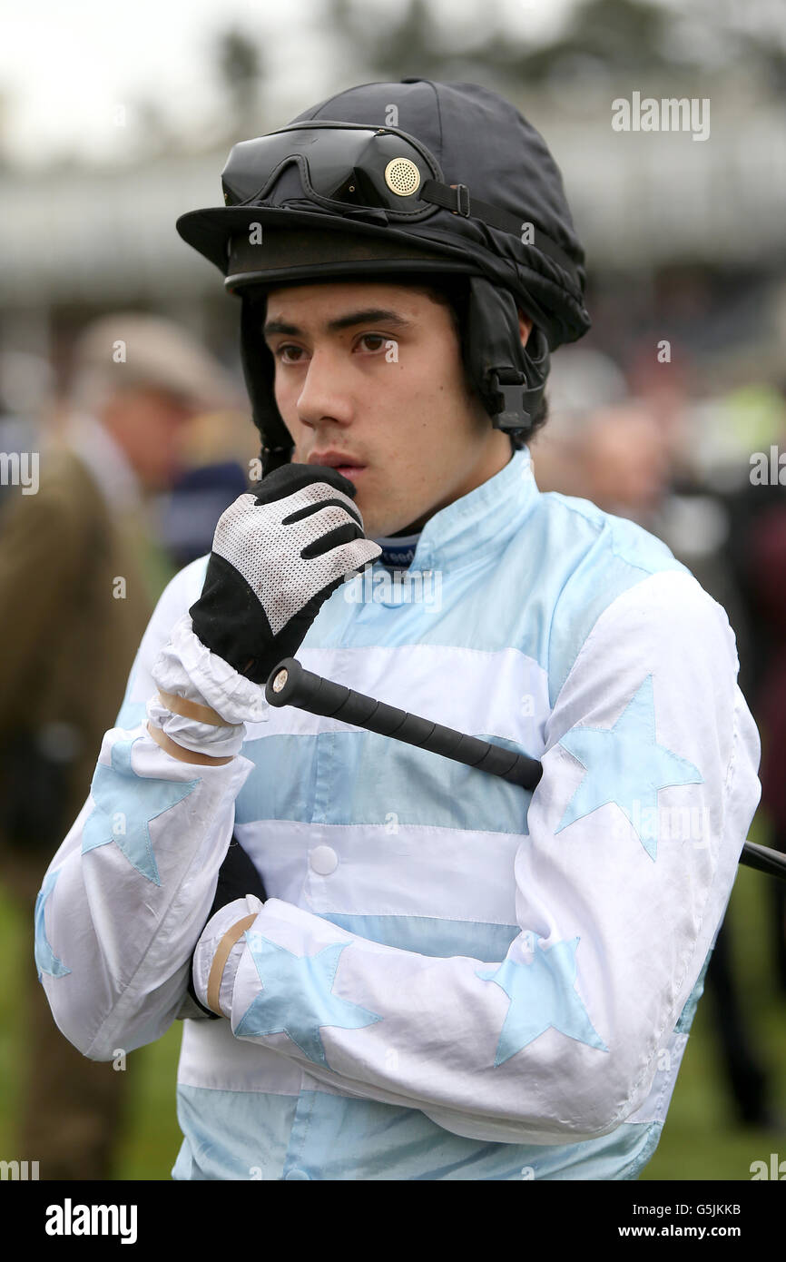 Horse Racing Ludlow Racecourse Stock Photo Alamy
