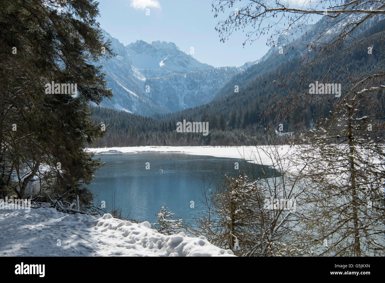 Österreich, Salzburger Land, Kleinarl bei Wagrain, Jägersee Stock Photo