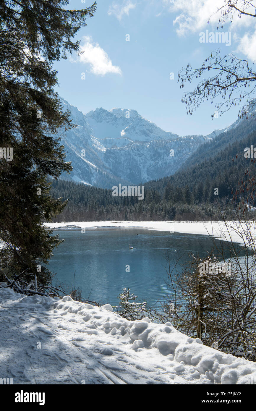 Österreich, Salzburger Land, Kleinarl bei Wagrain, Jägersee Stock Photo