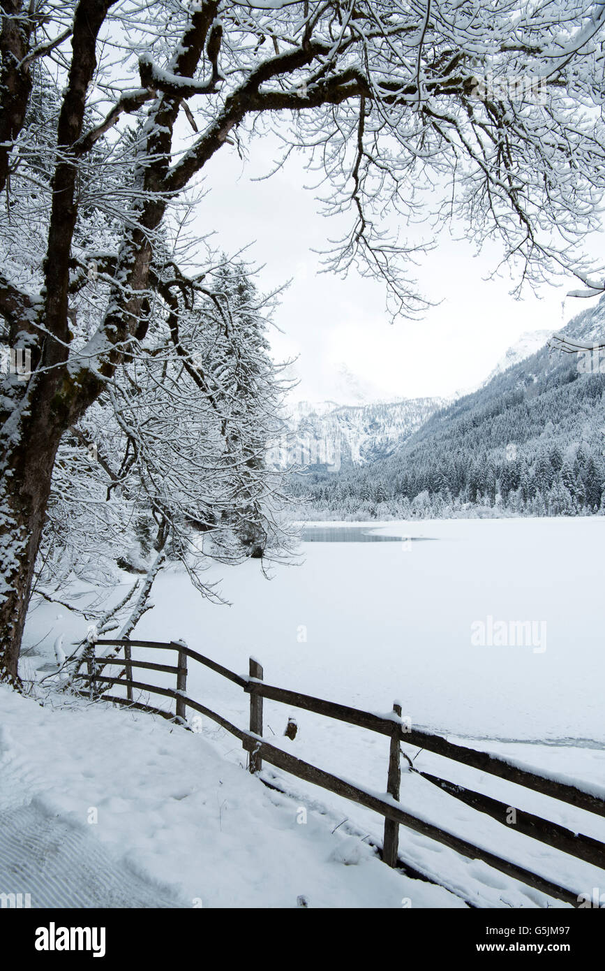 Österreich, Salzburger Land, Kleinarl bei Wagrain, Jägersee Stock Photo