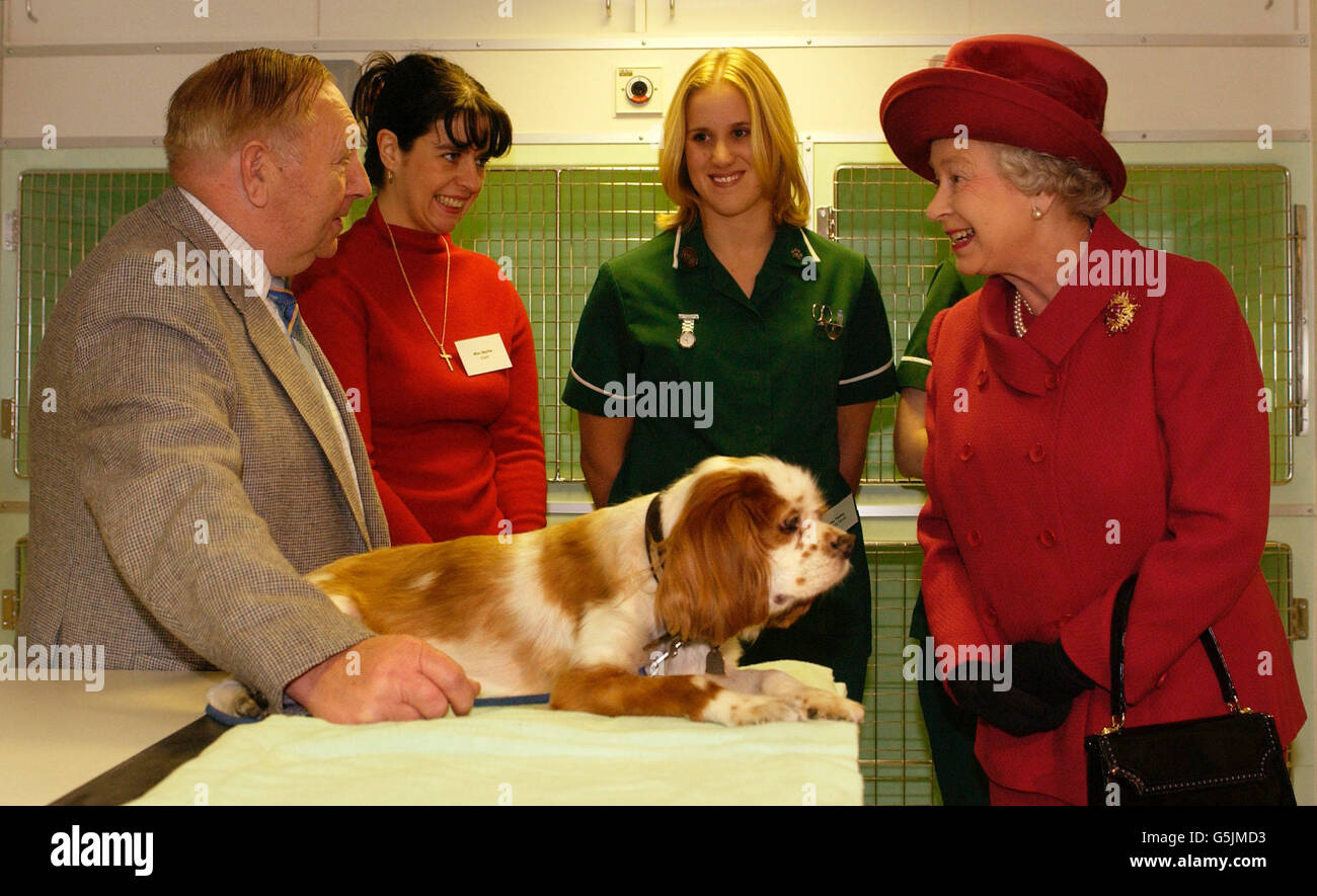 Britain's Queen Elizabeth II talks to Norman Ball with his Cavalier King Charles Spaniel, Toby, at the Blue Cross animal hospital in London's Victoria, which she officially reopened,following its rebuilding on its former site. Stock Photo