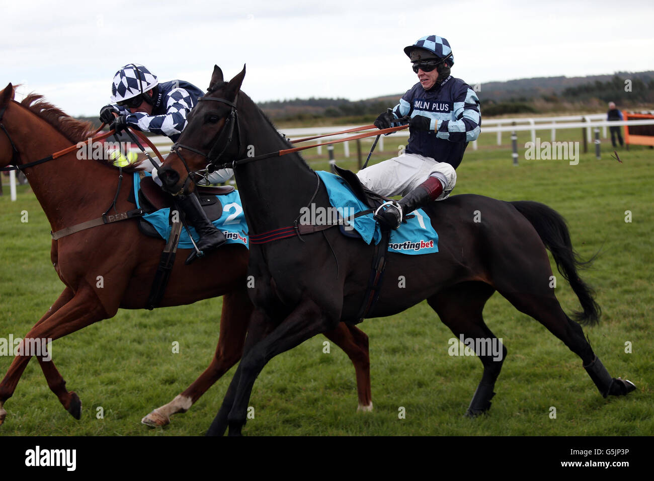 Jockey Richard Johnson manages to stay aboard Menorah in the sportingbet Haldon Gold Cup Chase at Exeter Racecourse, Exeter. Stock Photo
