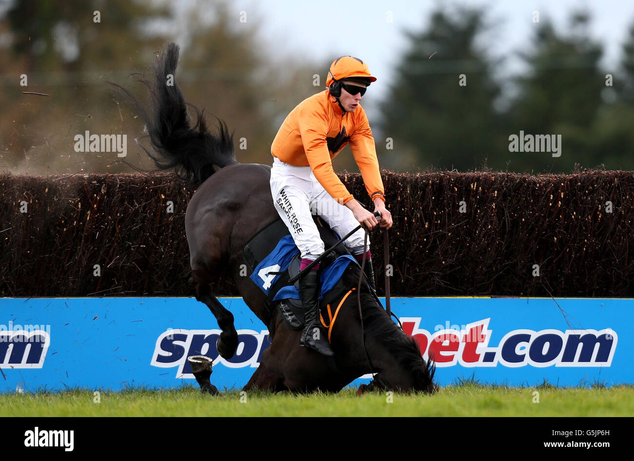 Wayward Frolic and James Reveley are fallers in the Gain Horse Feeds