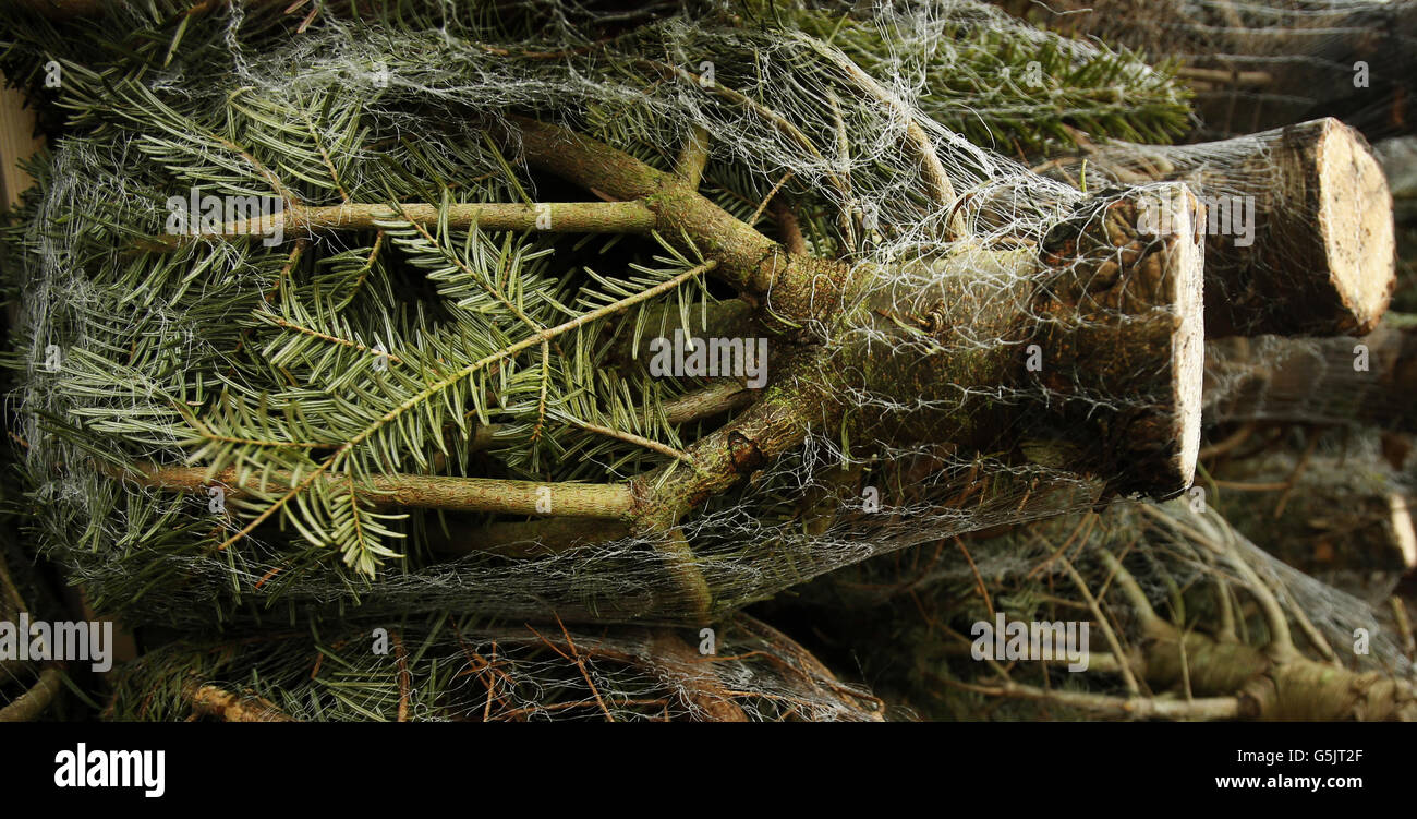 News consumer trees hires stock photography and images Alamy