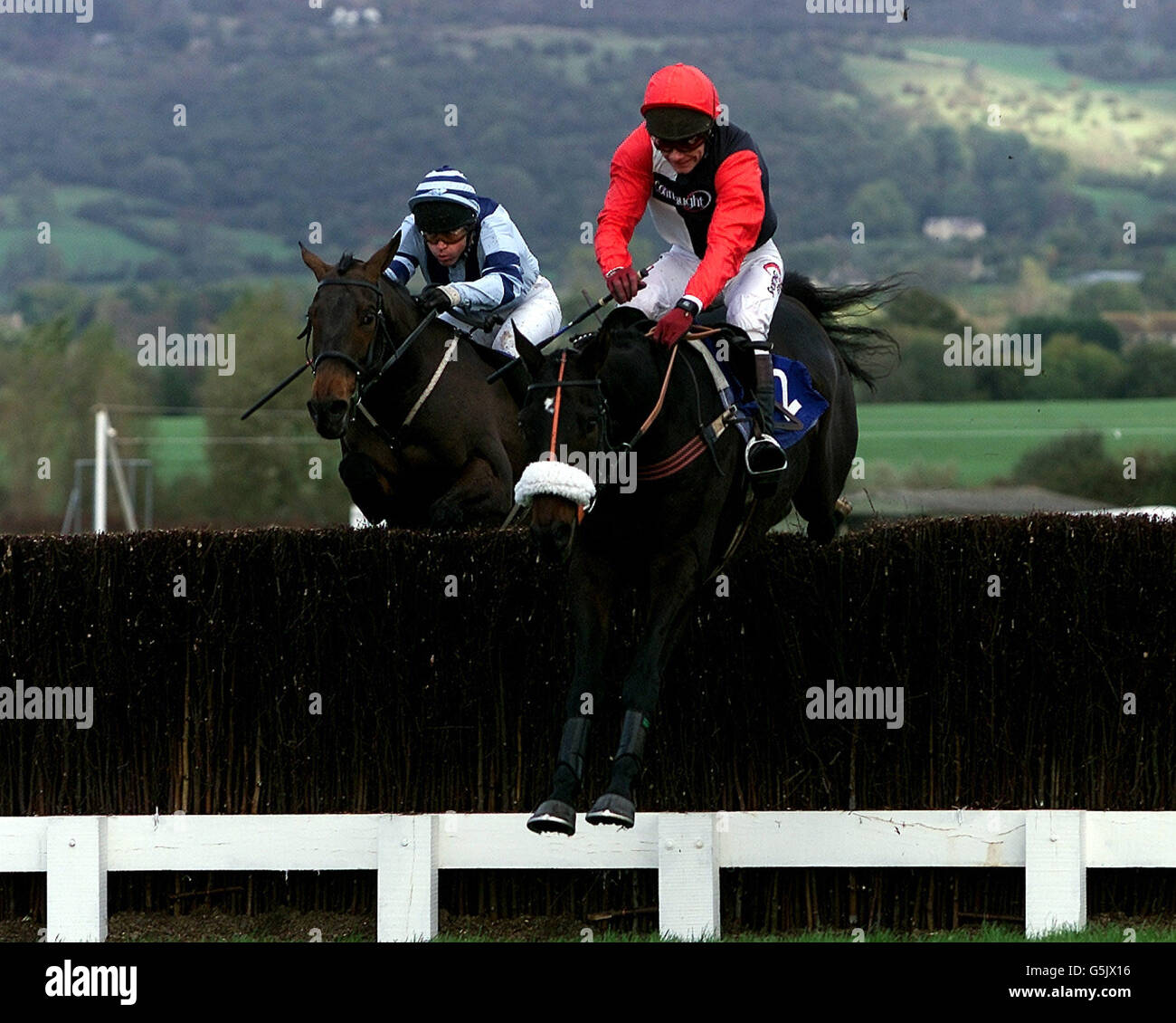 Michael Anthony Fitzgerald riding Phar From a Fiddle (right) at Cheltenham races.. Photo David Davies.. Stock Photo