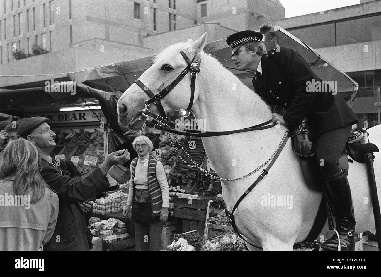Police horse 'Echo' Stock Photo