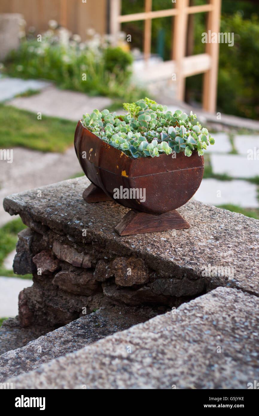 Decorative Vintage Model Old ton Basket Flowers Garden. Toned Photo. Stock Photo