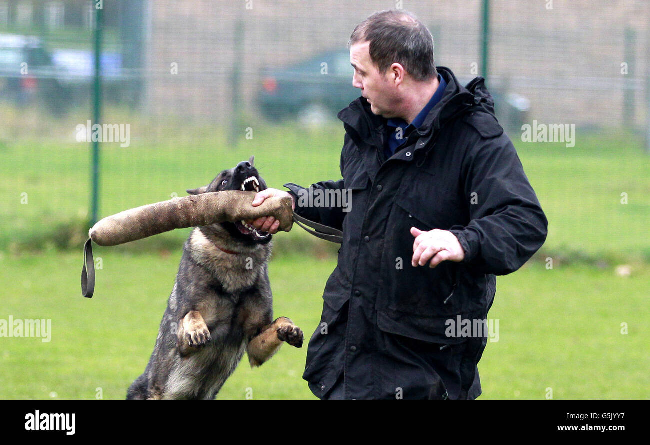 How Much Does A Police Dog Trainer Make