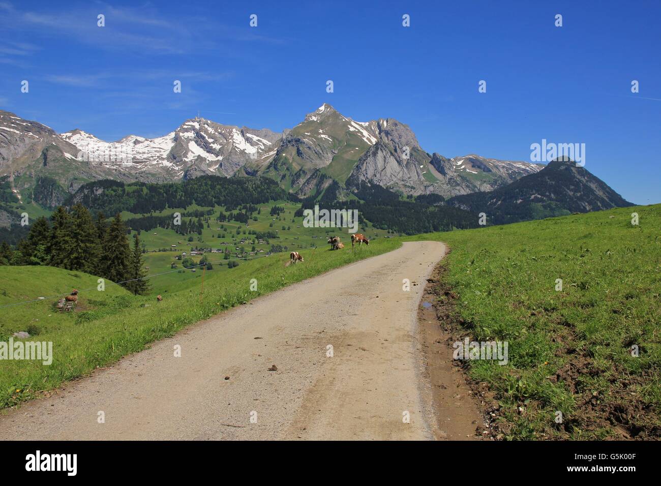 Scene In The Toggenburg Valley Switzerland Nature Background Stock scene-in-the-toggenburg-valley-switzerland-nature-background-stock