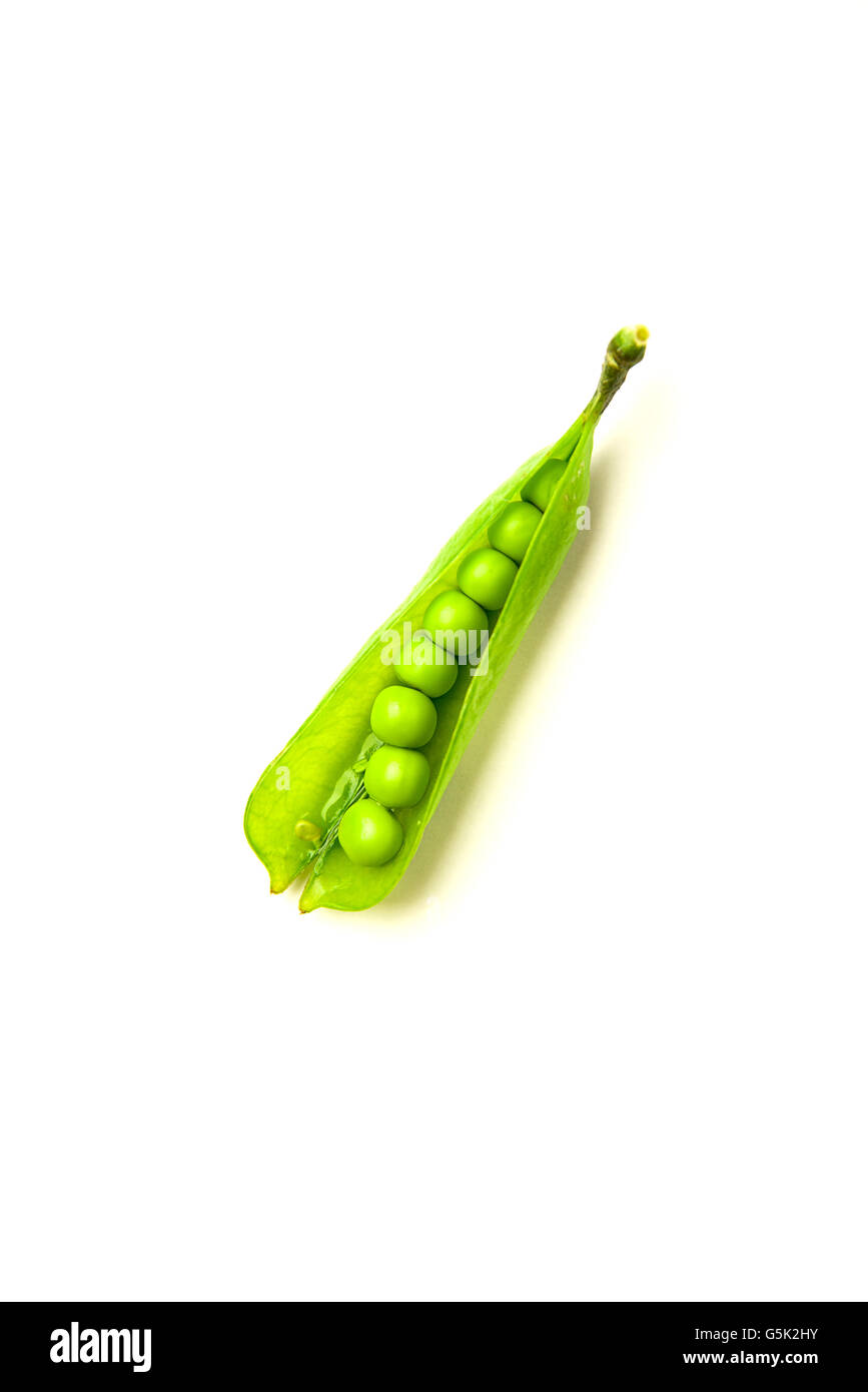 Pea pod seeds Cut Out Stock Images Pictures Alamy
