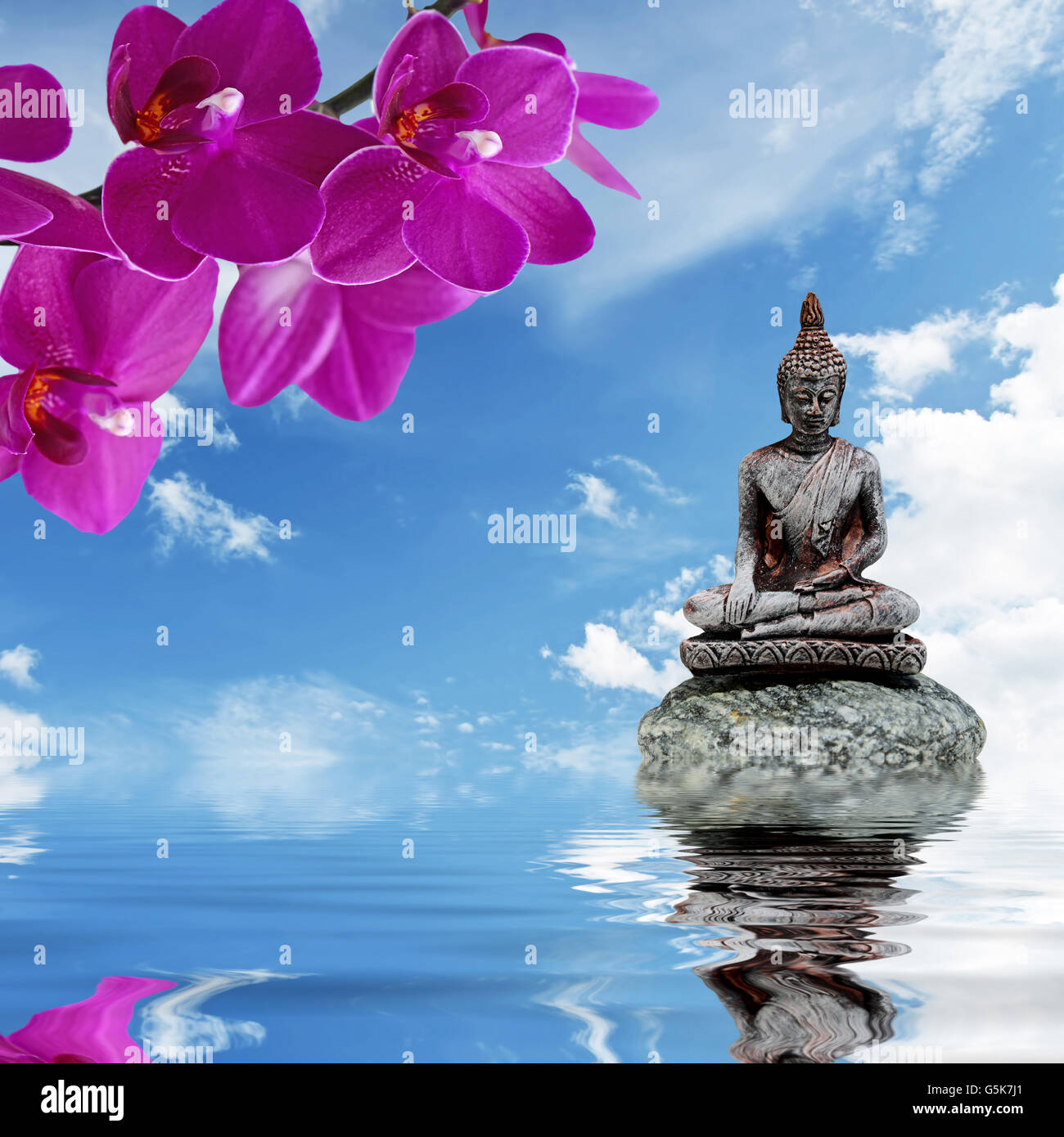 Zen or Feng-Shui background-Zen stone,orchid flowers and Buddha reflected in water Stock Photo