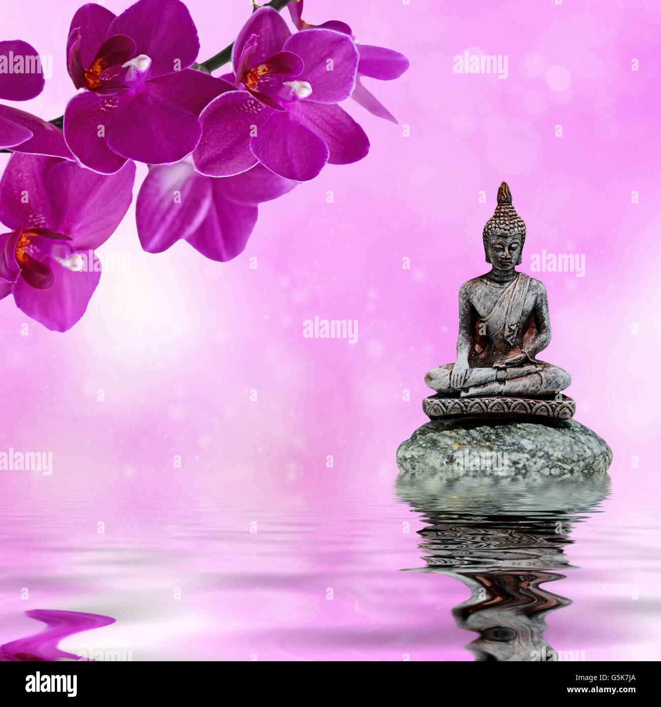 Zen or Feng-Shui background-Zen stone,orchid flowers and Buddha reflected in water Stock Photo