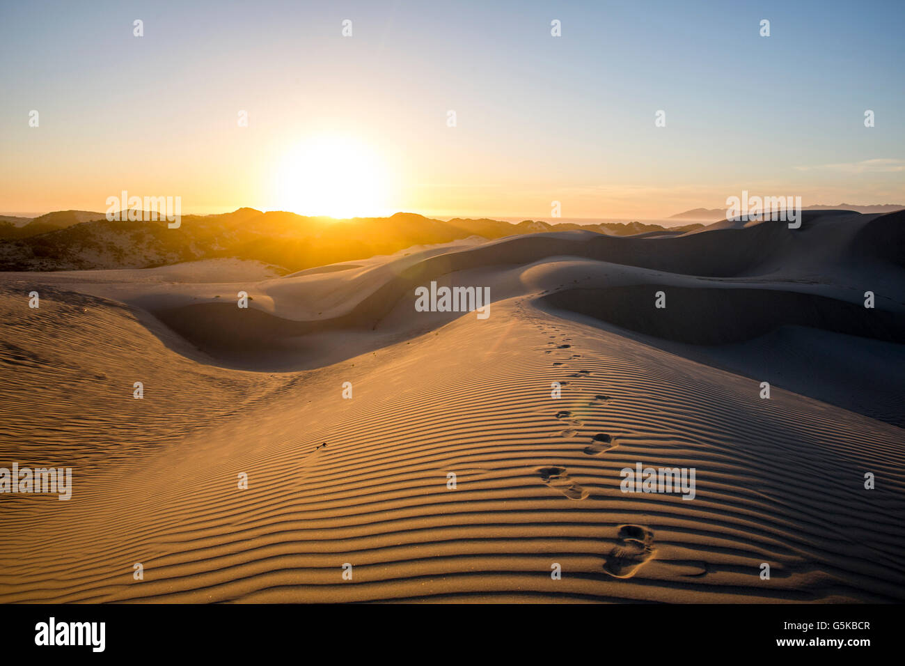 Footprints in desert sand dunes Stock Photo