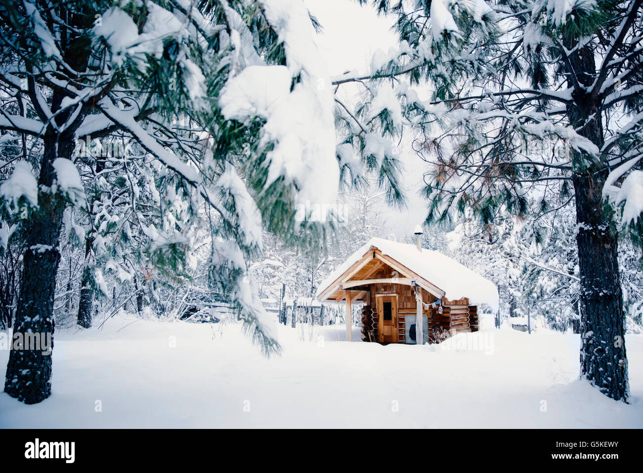 Log Cabin In Snowy Woods High Resolution Stock Photography and Images ...