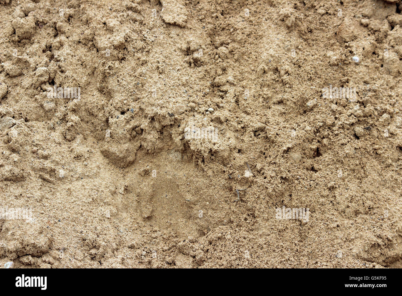 texture of a major construction sand Stock Photo - Alamy
