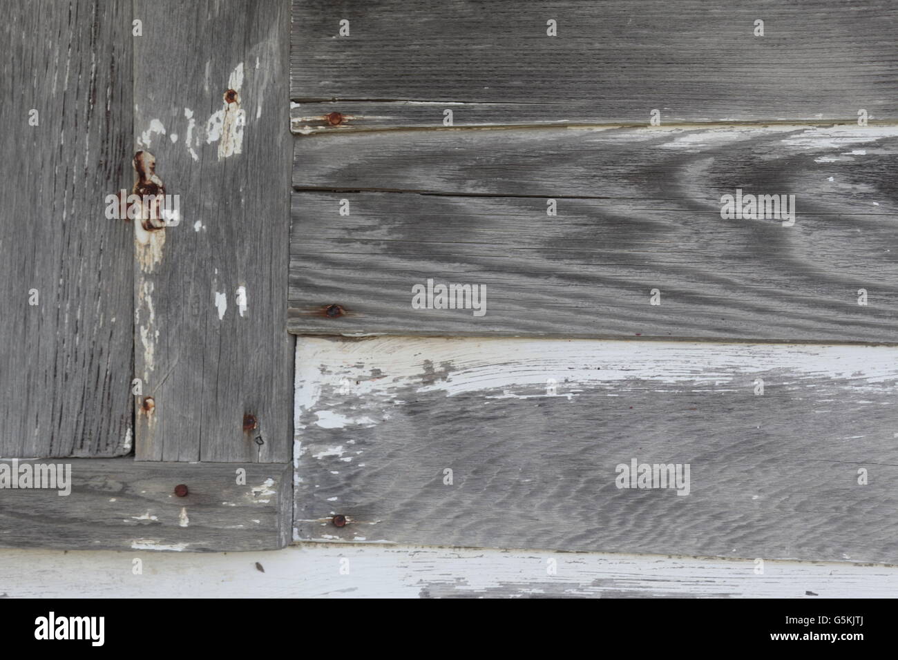 weathered gray barn lumber gray siding with rusty nails Stock Photo Alamy