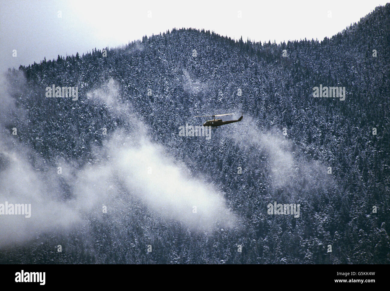 US Army helicopter flyiing along Hurricane Ridge; Olympic National Park; Olympic Peninsula; Washington; USA Stock Photo