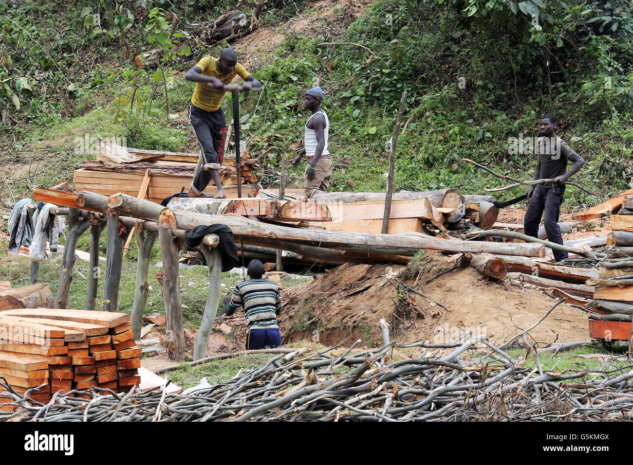 Manual wood sawing mill in a forest in Rwanda, Africa Stock Photo