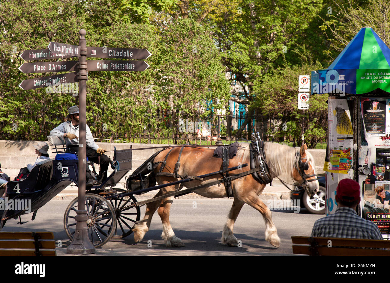 Horse carriage quebec city quebec hires stock photography and images