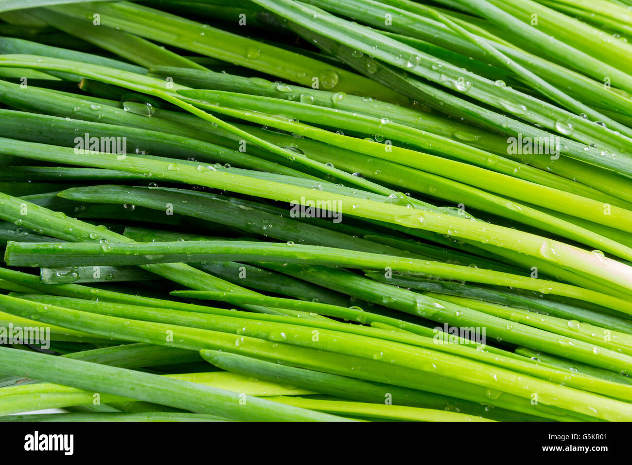 Leaves of onion closeup Stock Photo Alamy