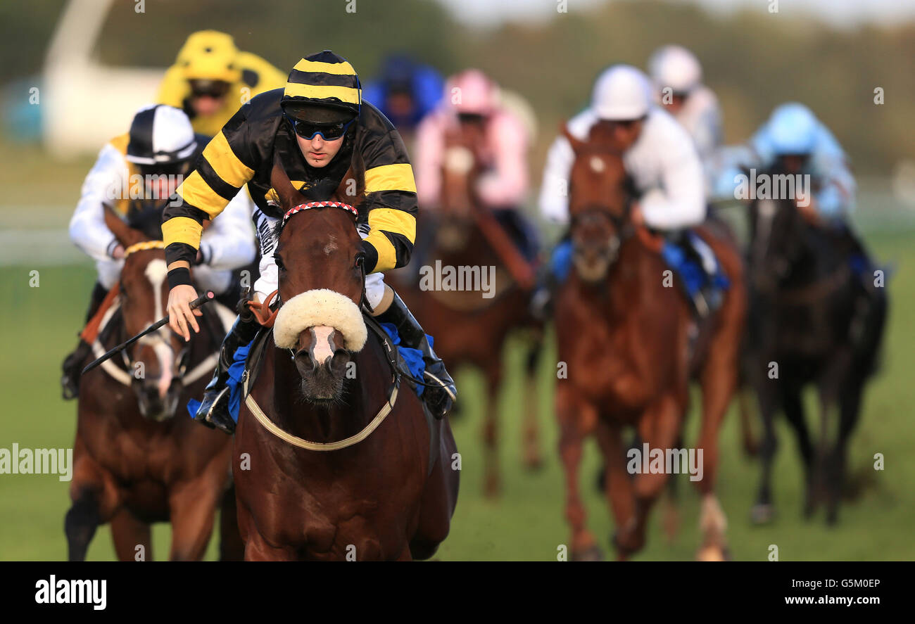 Horse racing nottingham races hi-res stock photography and images - Alamy