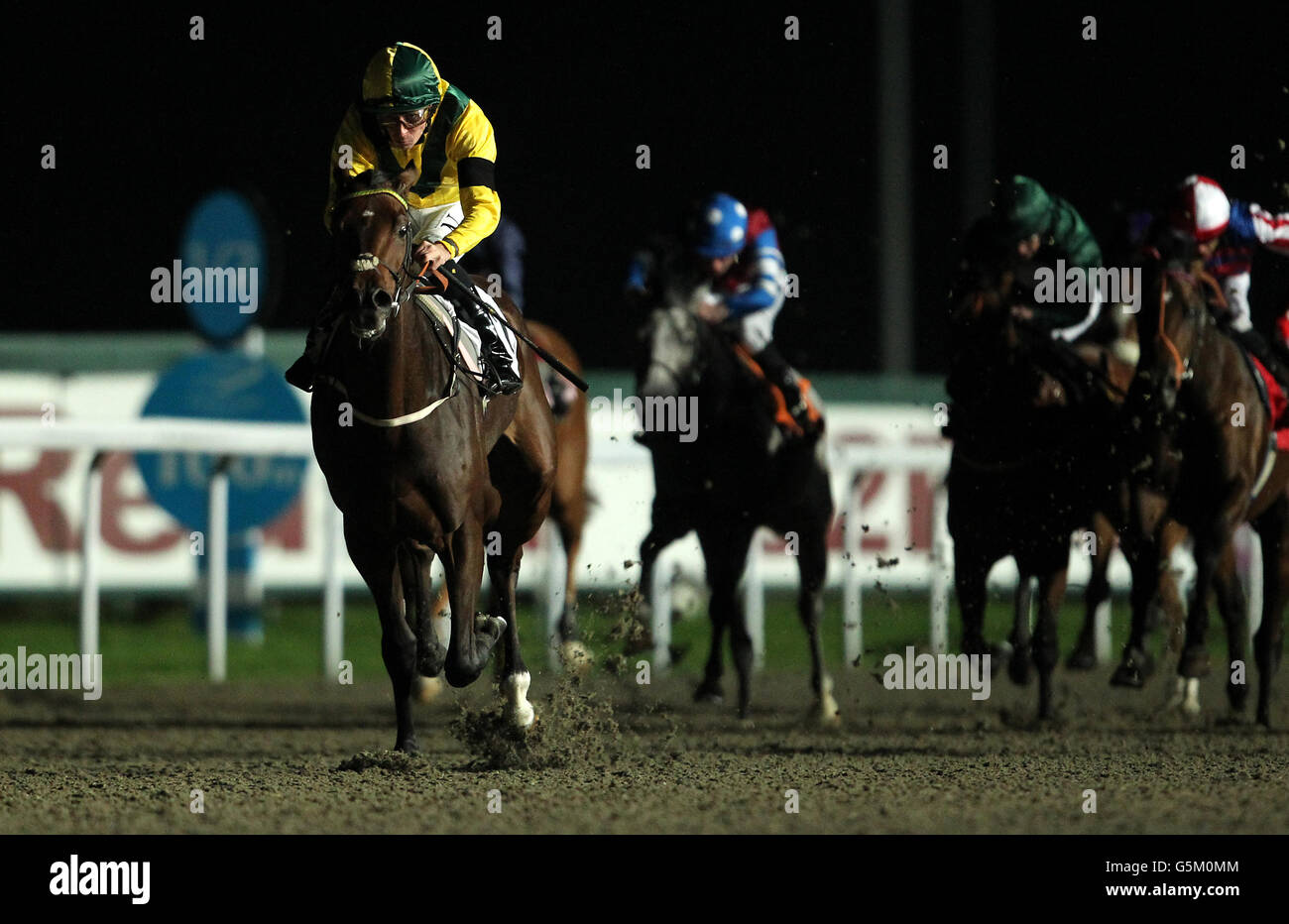 Horse Racing Kempton Races Stock Photo Alamy