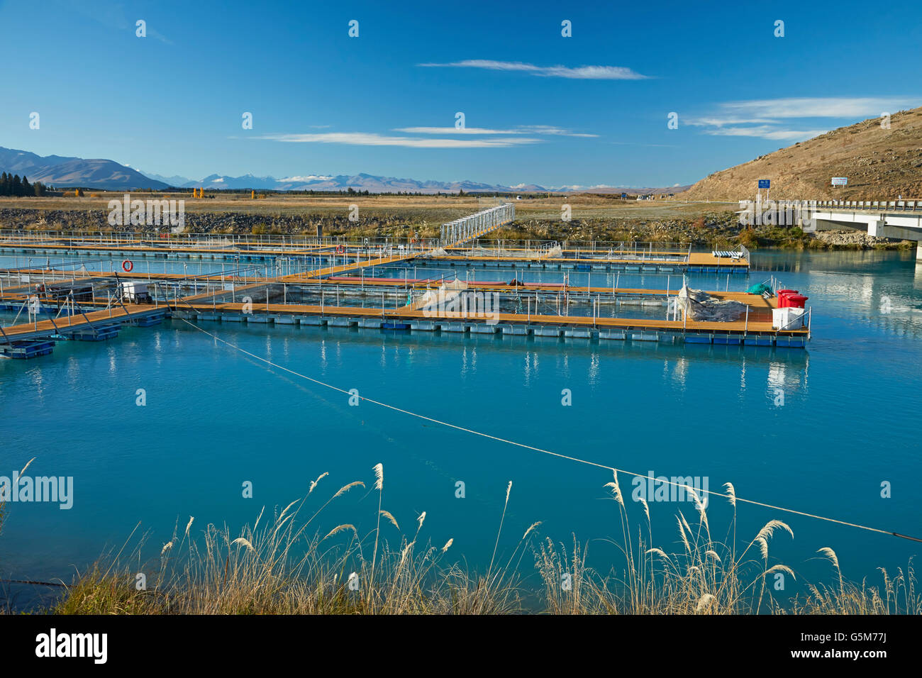 High Country Salmon Farm, Lake Ruataniwha, near Twizel, Mackenzie