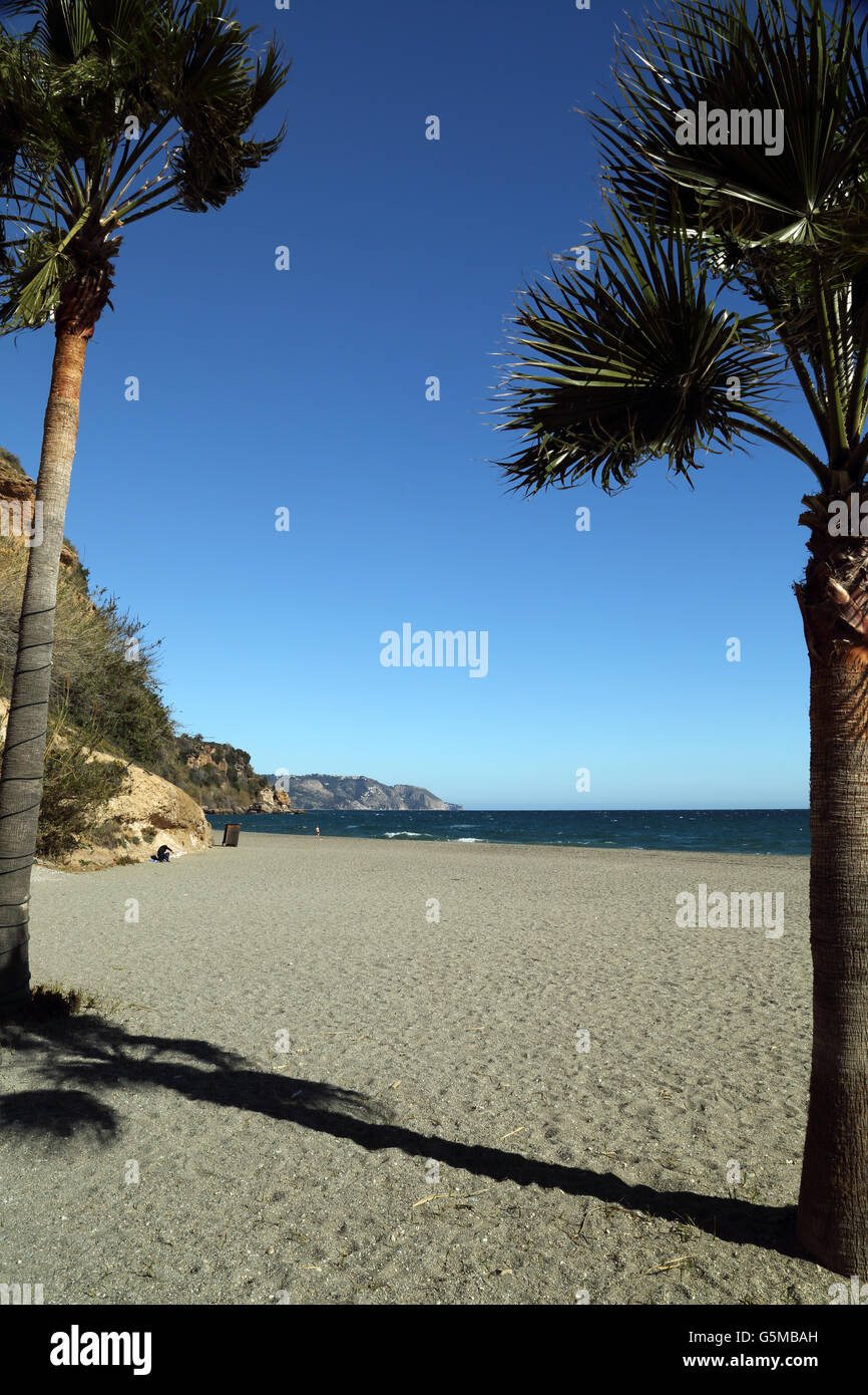 Two palm trees framing Burriana beach, Nerja, Andalucia, Spain, with the sea and mountains in the background. Stock Photo