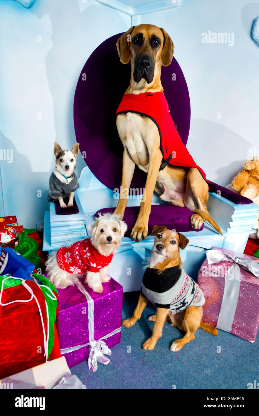 crochet cardigan short sleeve