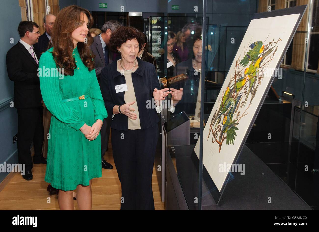 The Duchess of Cambridge views a plate from Audubon's Birds of America alongside Special Collections Manager Judith Magee (right) during a visit to officially open the new Treasures Gallery at the Natural History Museum, in central London. Stock Photo