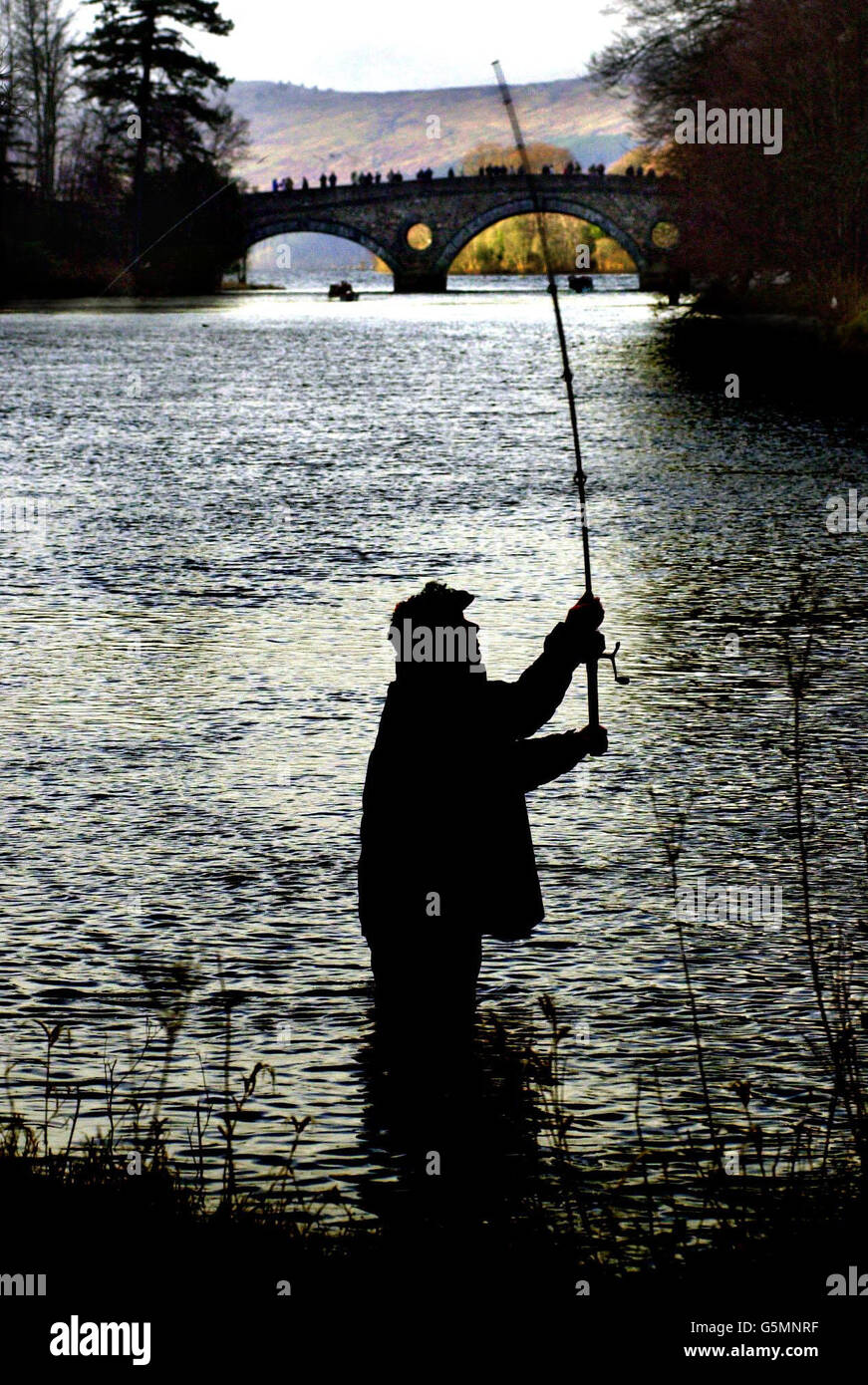 Hundreds of anglers were gathering on the banks of Scotland's biggest river for the launch of the salmon fishing season. The traditional January 15 start of the nine-month season on the Tay, in Perth and Kinross, is one of the biggest dates in the fishing calendar. * Although some rivers have already opened their season, the Tay is the first of the really big rivers to do so. Stock Photo
