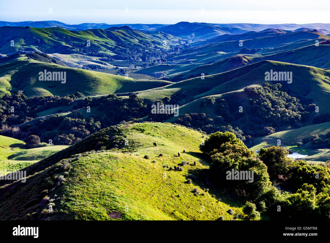 The hills and mountains along the California coast north of Morro Bay California the along the route to Paso Robles Stock Photo