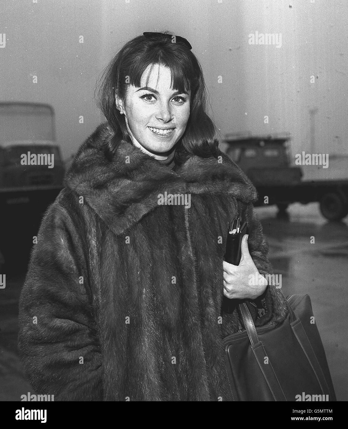 Actress Stephanie Powers Stock Photos & Actress Stephanie Powers Stock