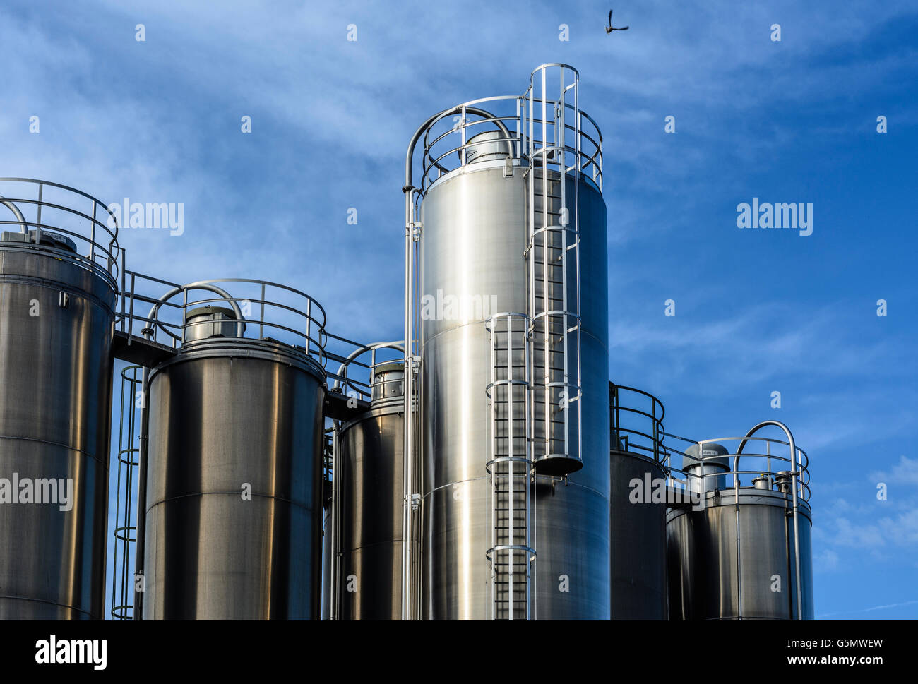 Boiler of a chemical plant and bird of prey, Viechtach, Germany, Bayern, Bavaria, Niederbayern, Lower Bavaria Stock Photo