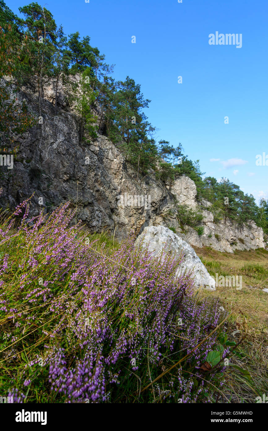 quartz vein Pfahl, Viechtach, Germany, Bayern, Bavaria, Niederbayern, Lower Bavaria Stock Photo