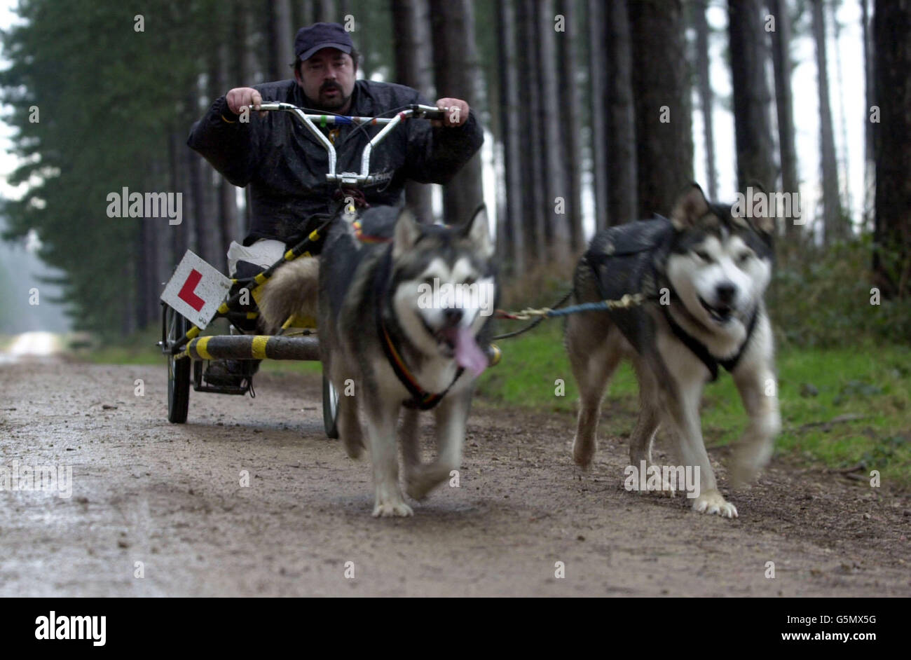 Paul moncaster in clipstone forest hires stock photography and images